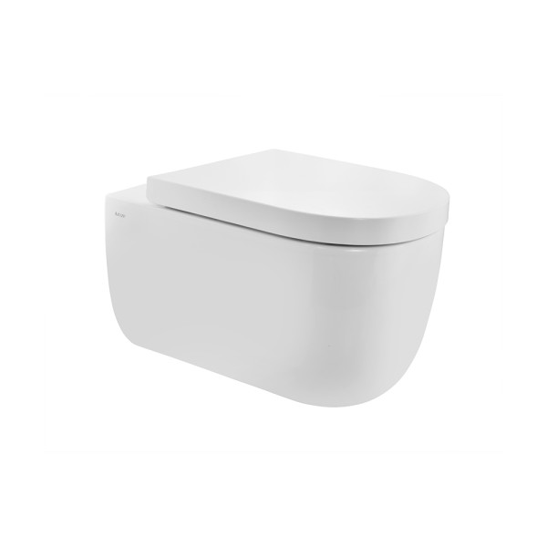 Rimless Wall Hung WC